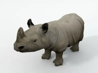 Rhino rhinoceros Low-poly 3D model