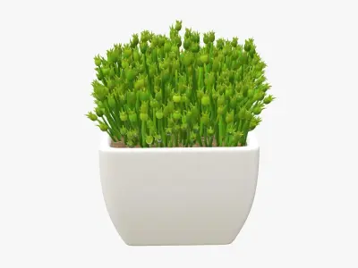 Plant artificial 06 3D model