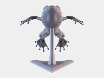 Frog 3D Printing 3D print model