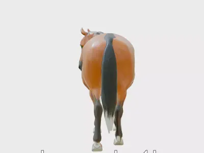 Bay Warmblood Horse Model with White Markings Low-poly 3D model