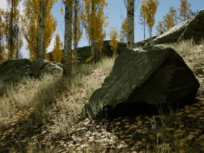 Scanned Poplar-Aspen Forest with Seasons for Unreal Engine 4 - 5 Low-poly 3D model