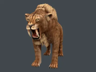 Saber tooth  Low-poly 3D model