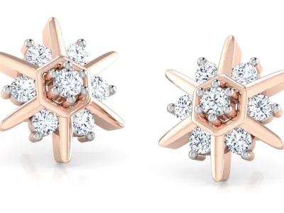 Star Shaped Diamond Earring  3D print model