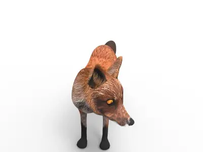 3D Fox rigged Model Low-poly 3D model