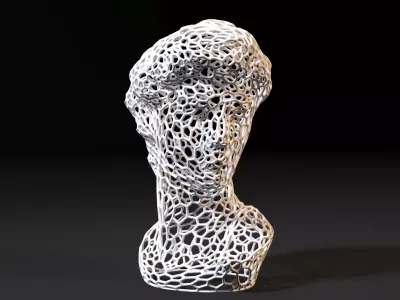 Statue Of David Michelangelo Head 3D print model
