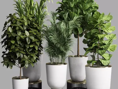 collection Indoor plant 35 -concrete vase Low-poly 3D model