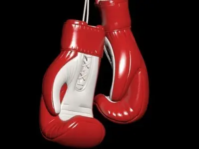 Boxing Gloves 3D model