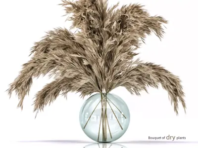 Dried flower- bouquet 006  3D model