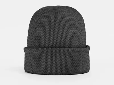 Winter Hat V1 - Dark Knitted Beanie with Folded Cuff 3D model