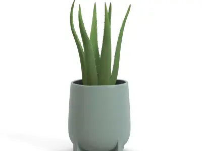 Stoneware Footed Aloe vera Planter  PBR 3D model
