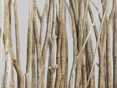 Branch old screen n2 3D model