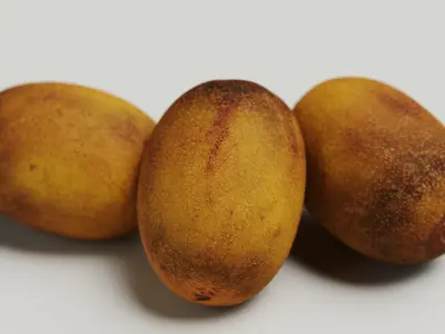 Golden Kiwi 3D model