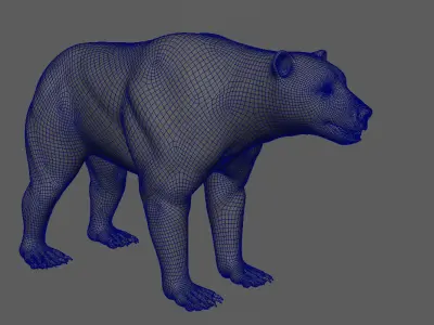 Bear Base Mesh 3D model