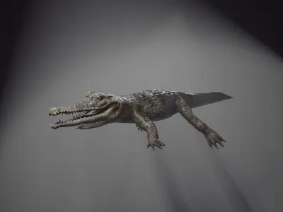 PBR Lowpoly Realistic Crocodile optimized for application Low-poly 3D model