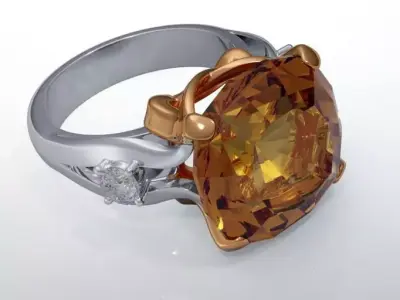 Ring with cushion 3D print model