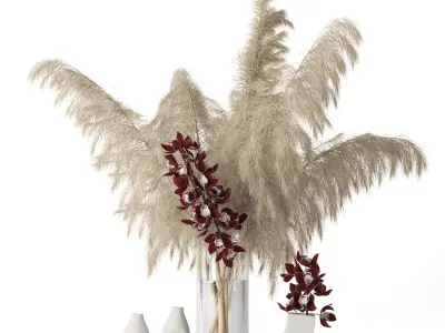 Pampas grass and Cymbidium 3D model