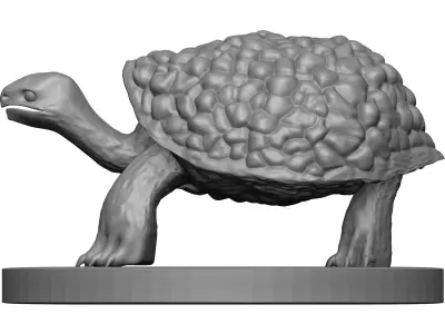 Tortoise 3D model