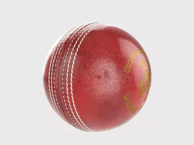 Cricket Ball 3D model