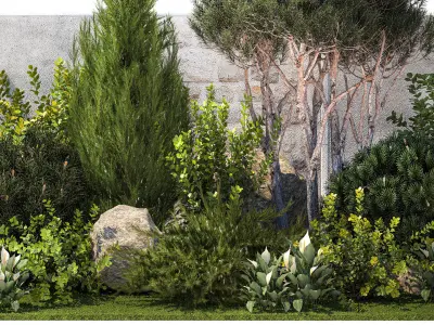 Garden cypress thuja pine topiary barberry 1397 3D model