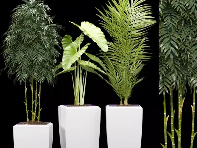 plants set 127 3D model