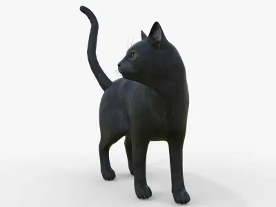 Black Cat Rigged for Cinema 4D 3D Model Low-poly 3D model