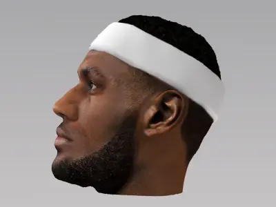 Lebron James 3D model