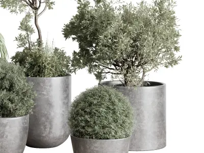 set Outdoor Indoor plant  concrete dirt vase pot tree bush palm 3D model