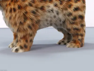 Fur Cute Cat kitten Jungle No Rig Low-poly 3D model