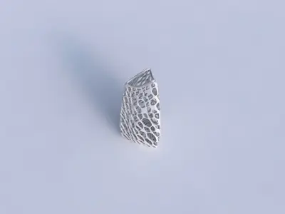 Vase curved tipping triangle 2 with dense organic lattice 2 3D print model
