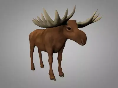 Moose with antlers Low-poly 3D model