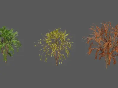 Season Tree Pack 3D model