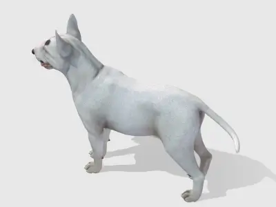Dog - Bull Terrier Low-poly 3D model