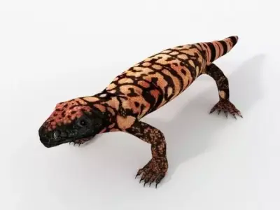 Gila Monster Low-poly 3D model