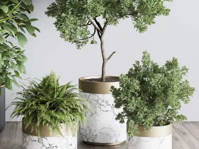 Indoor plant set 363 stone vase plant tree shrub  Low-poly 3D model