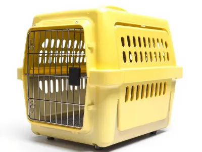 Pet Transport Crate Safety model pack Low-poly 3D model