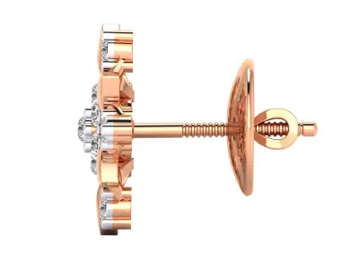 Women earrings 3D print model