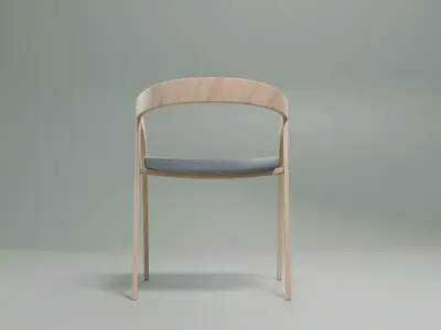 Modern Chair 3D model get