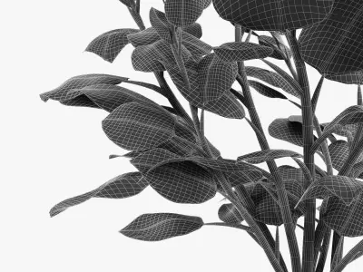 Realistic Plant Garden 3D model