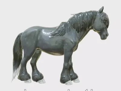 Black Clydesdale Horse 3D Model with Dark Coat Low-poly 3D model