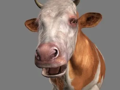 Top Cow - 3d model 3D model