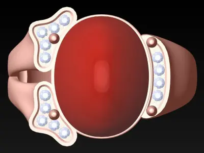 Oval Stone Ring - GN293 3D print model
