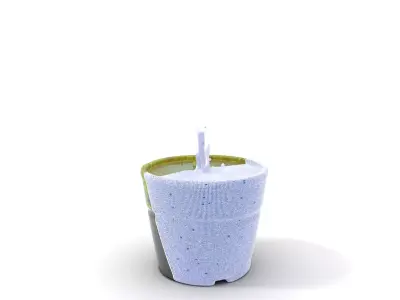 Vibrant Fern Plant model pack Low-poly 3D model