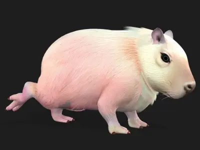 Capybara-A3 3D model