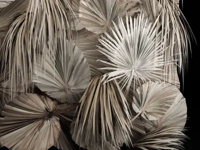 Wedding Arch For Decoration With Dry Palm Leaves 3D model