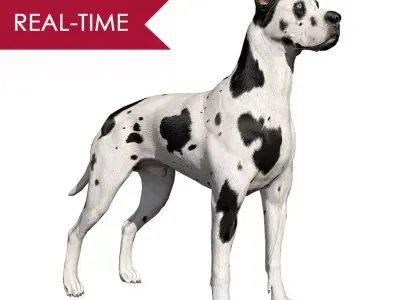 Great Dane Real-Time Low-poly 3D model