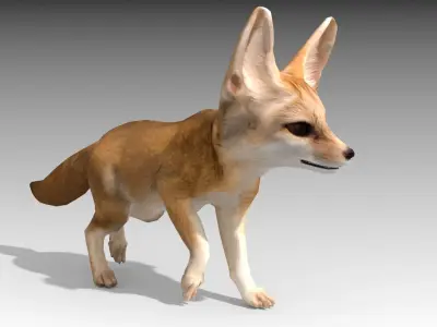 Fennec fox 3D model