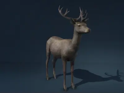 Deer Game Ready Model Low-poly 3D model