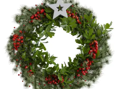 Christmas wreath 6 3D model
