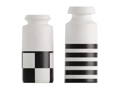 Black and White Ceramic Vases 3D model