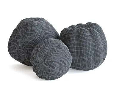 Decorative Pumpkins 3D model